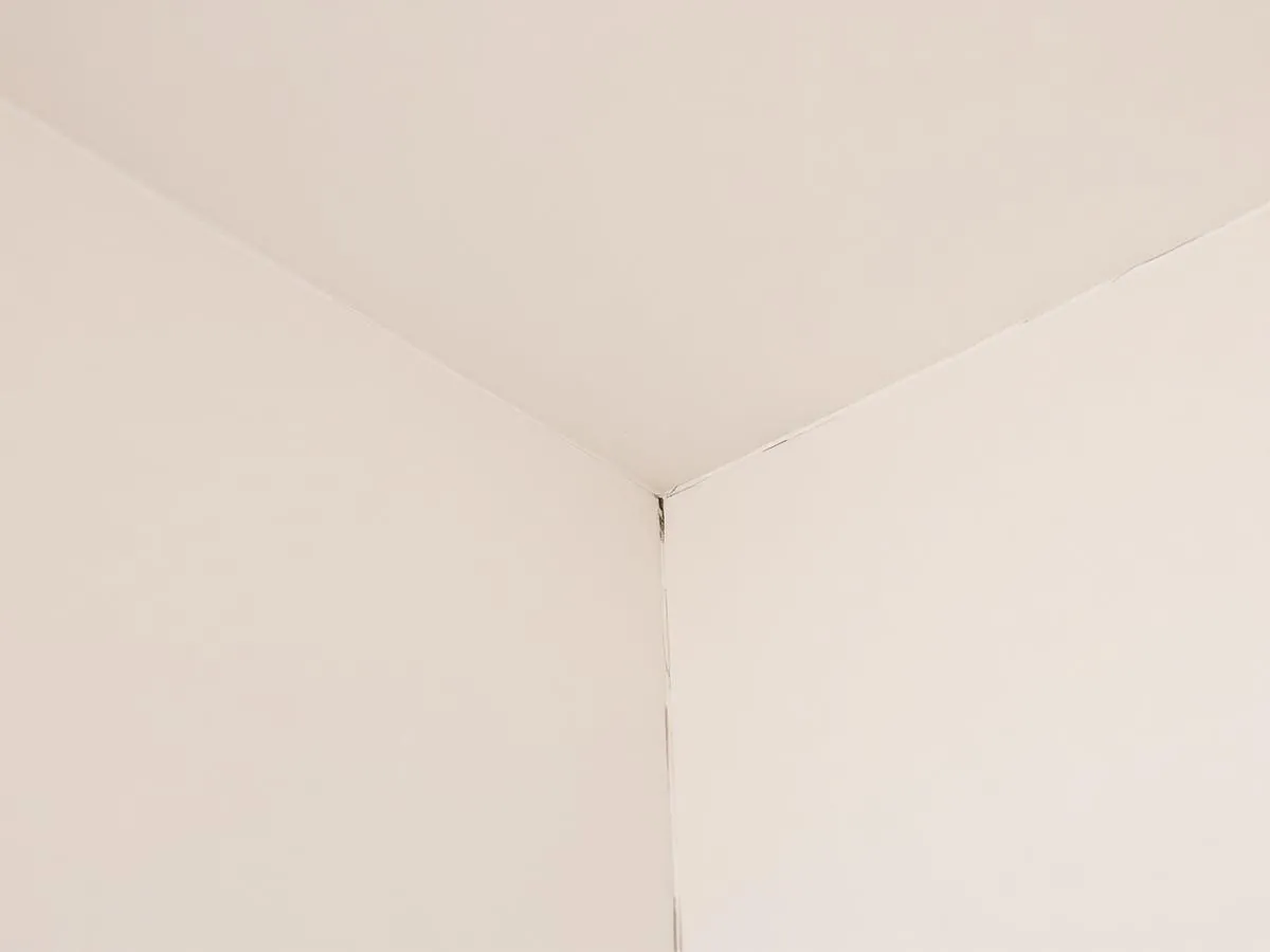 Drywall Services